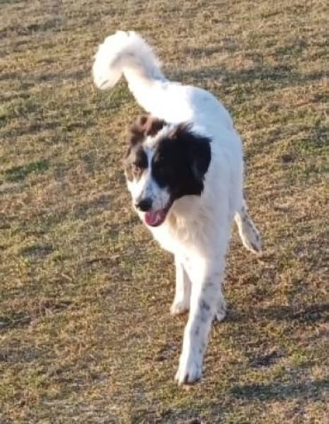 TERRY💛wünscht sich geduldige Menschen