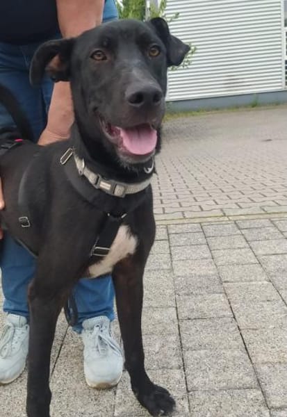 Omega - süßer Jungspund sucht Zuhause