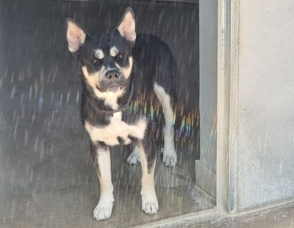 Max