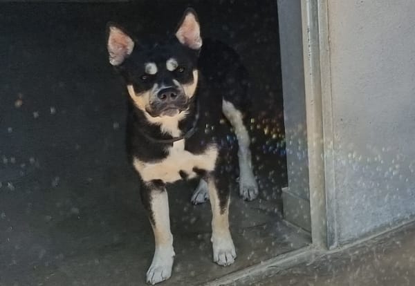 Max