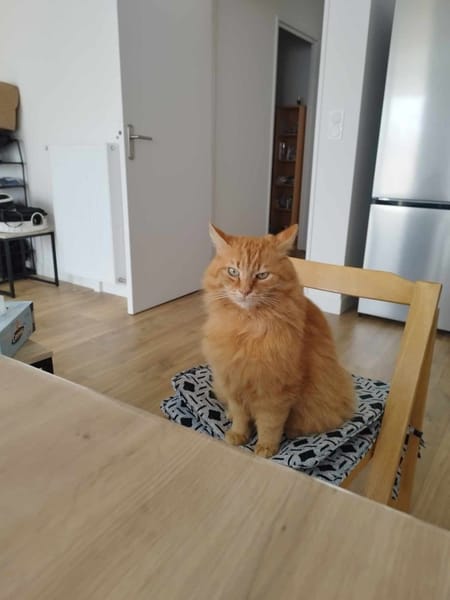 Pavarotti