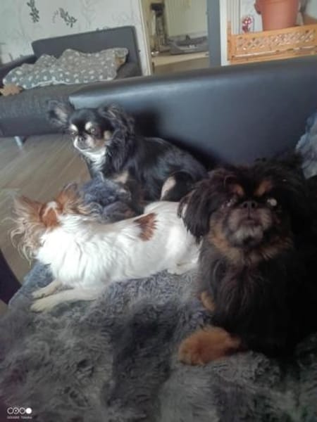🌸Luna 7 J und Bella 9 Jahre🌸Gemeinsa