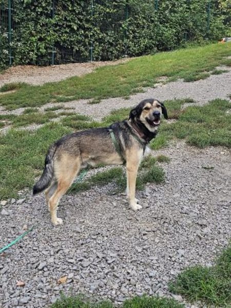 Bobbi sucht sein Glück!