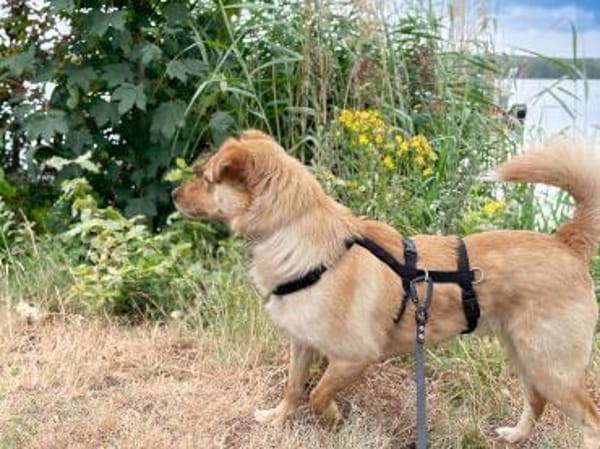 Zack sucht eigene liebe Familie