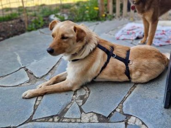 Zack sucht eigene liebe Familie