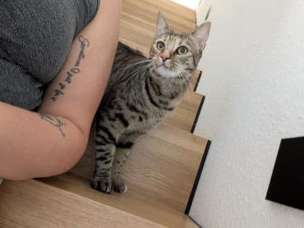 Miley - kleines Mädchen, großes Herz