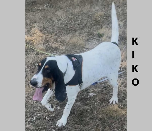 Kiko