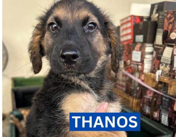 THANOS (Maria)