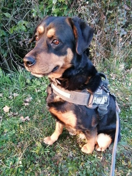 MEIKA