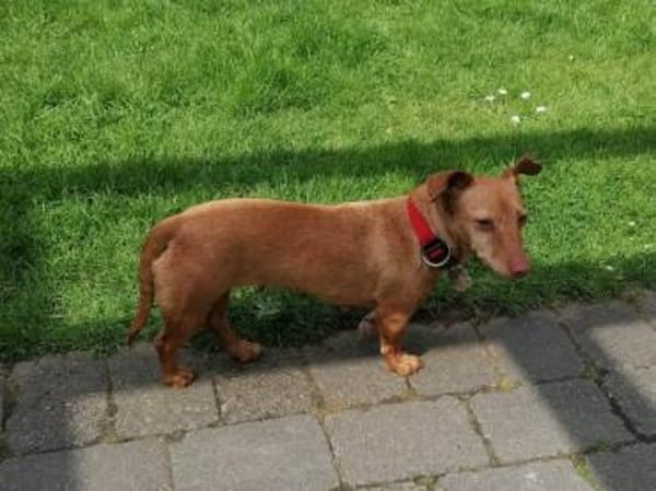 Miss Marple sucht Menschen mit Herz