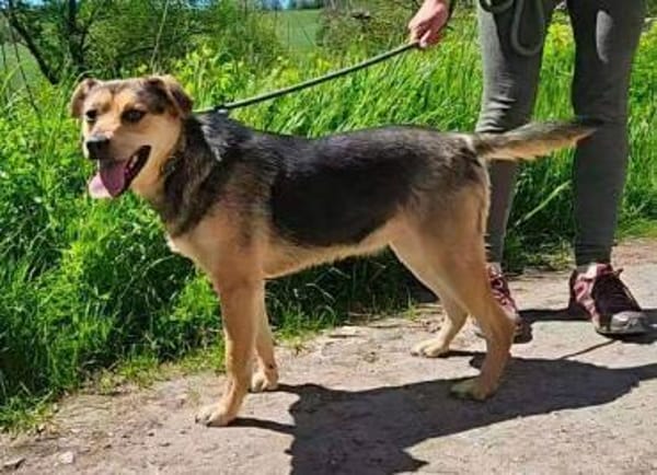 TINA will doch nur ein Zuhasue