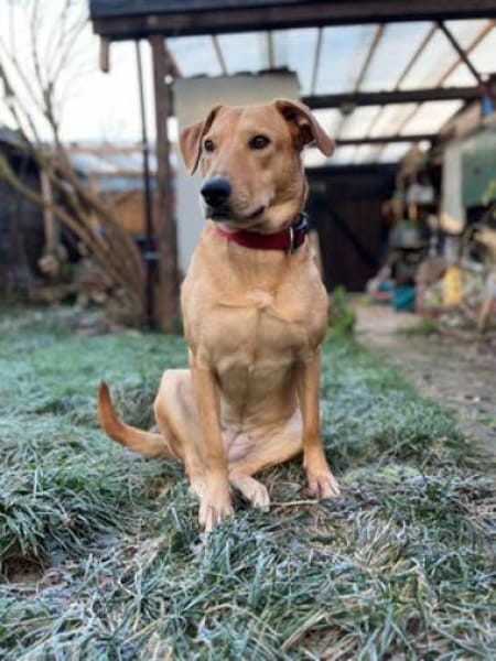 Clementine - Blondine sucht Aktive