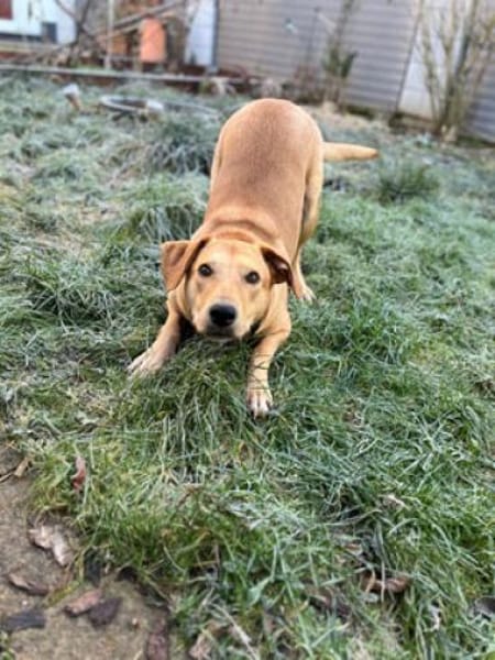 Clementine - Blondine sucht Aktive
