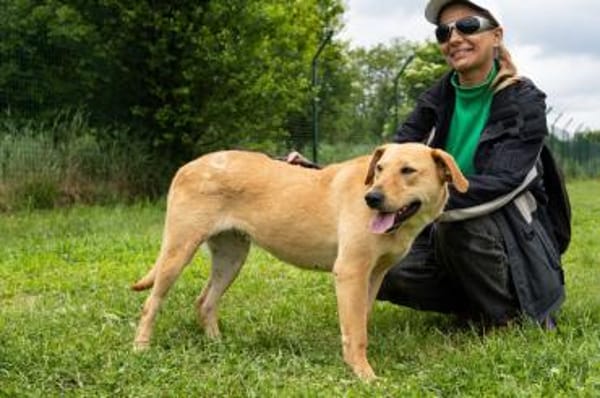 Clementine - Blondine sucht Aktive