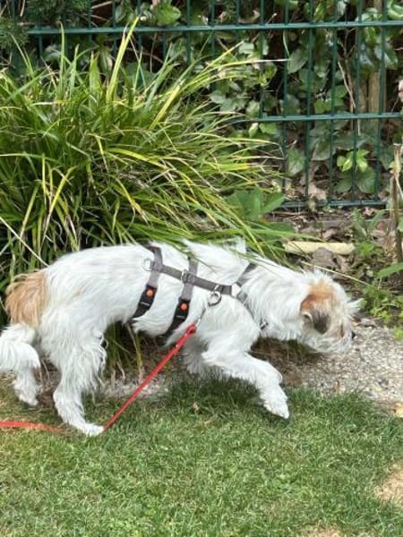 Super-Lotti ist genial