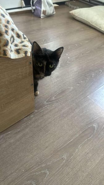 Daisy, mit mir kommt Freude ins Haus