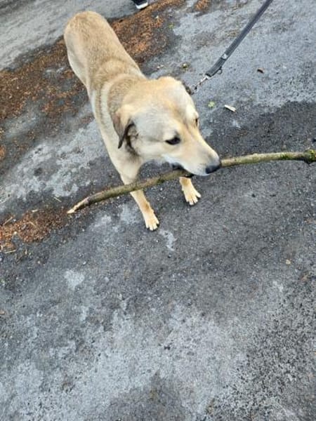 COOKIE SUCHT ERFAHRENE MENSCHEN