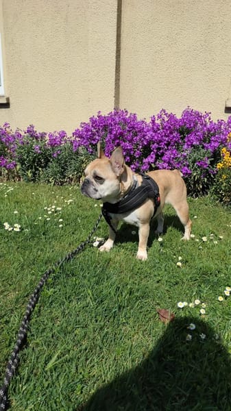 Rosie will endlich ankommen