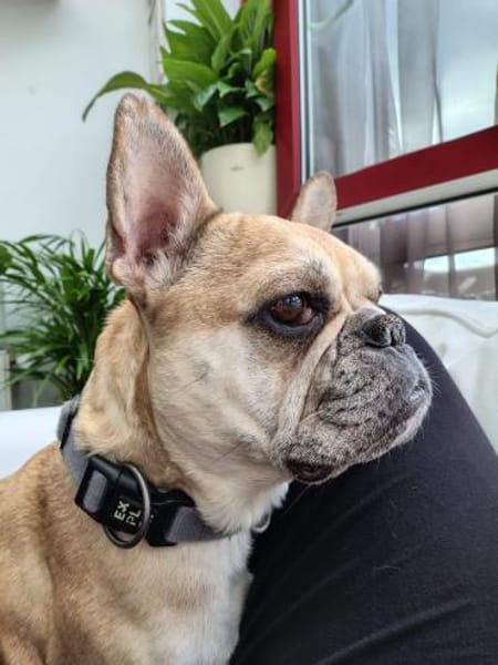 Rosie will endlich ankommen