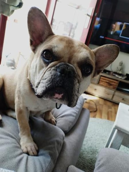 Rosie will endlich ankommen