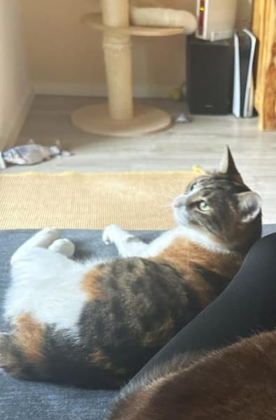 Lotta - hat Schlimmes durchgemacht