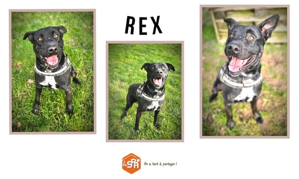REX