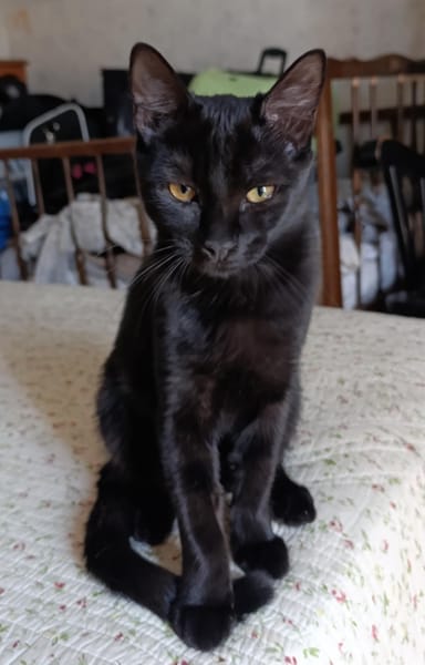 Luna