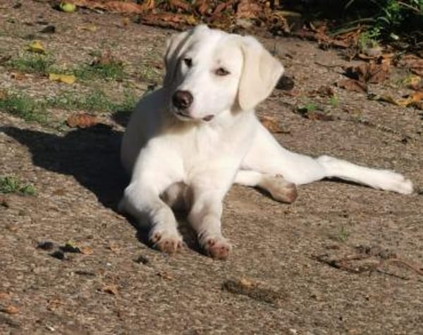 Möchtet ihr unser Elfchen Taina besuchen