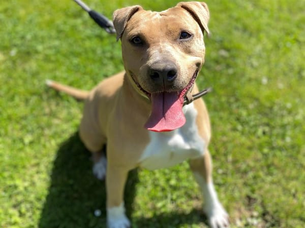 Molly CAA12080