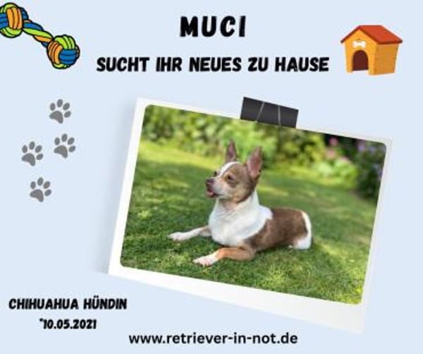 Muci-Kleine Seele sucht großes Herz