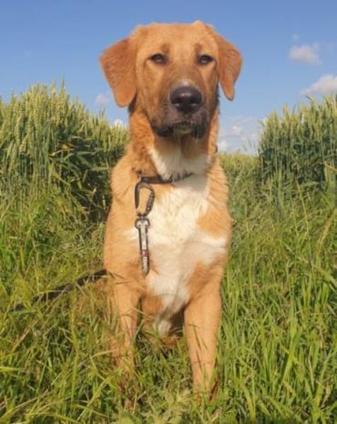 HSH-Mix-Lady♥Suvi♥63911 Klingenberg/Main