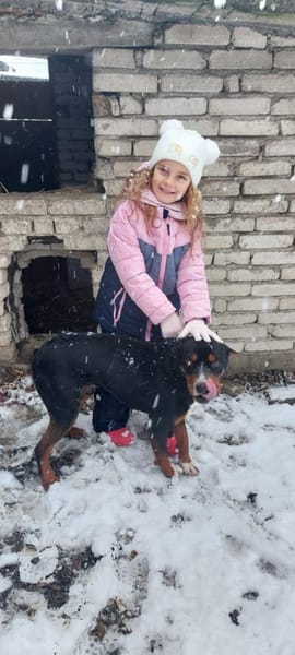 Tobi ein freundlicher Rüde