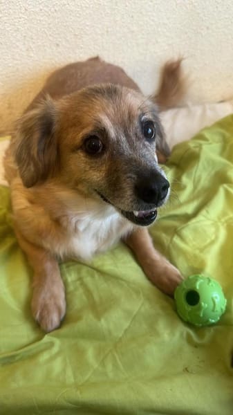 Rosa, suche meine Lieblingsmenschen