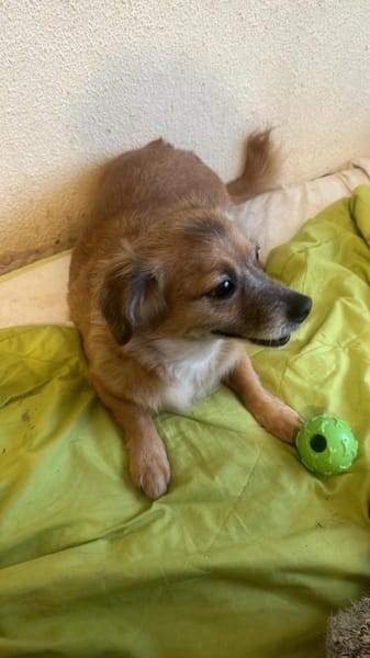 Rosa, suche meine Lieblingsmenschen