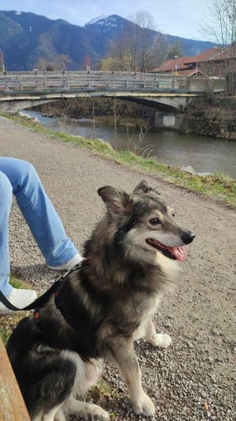 BRANCO - Couchkuscheln ist sooo schön