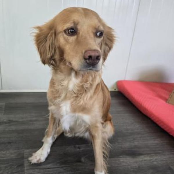 MADITA - Herz aus GOLD, lieb,verschmust