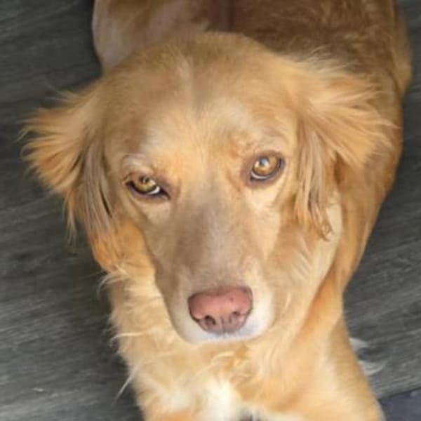 MADITA - Herz aus GOLD, lieb,verschmust
