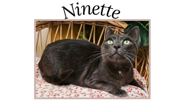 NINETTE (Réservée)