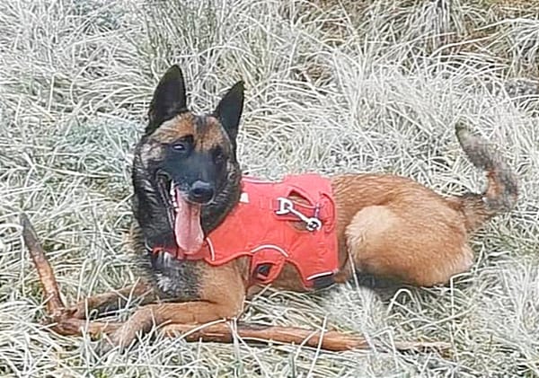 Mya