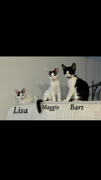 LISA, BART et MAGGIE