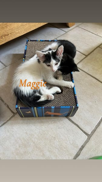 LISA, BART et MAGGIE