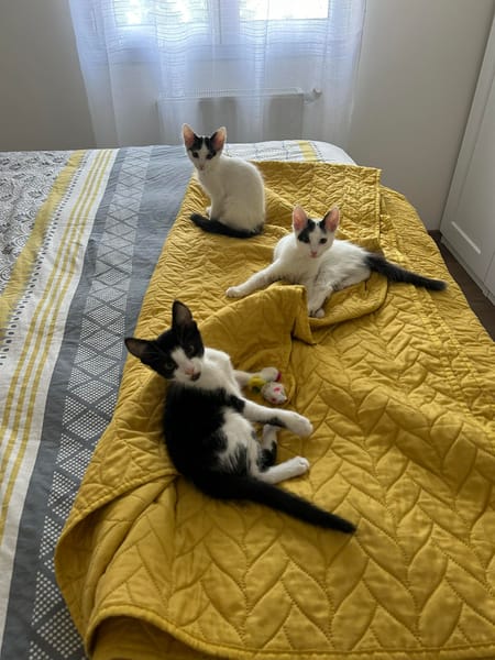 LISA, BART et MAGGIE