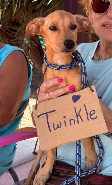 TWINKLE (Maria)