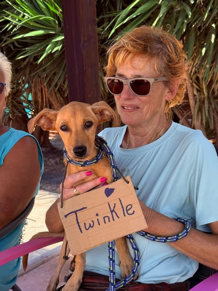 TWINKLE (Maria)