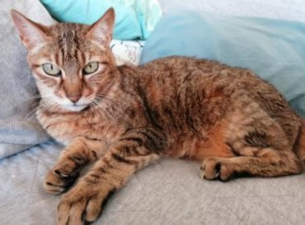 Dringender Notfall: Crunchy und Cimba