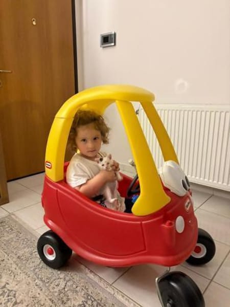Zuhause/Pflegestelle gesucht für Noulis
