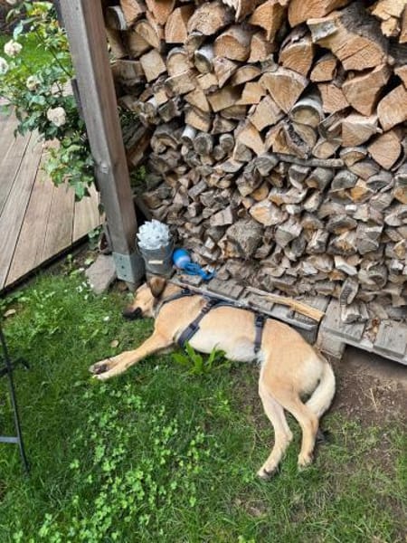 🆘 wundervolle Chai🆘 Notfall