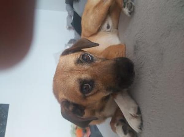 Liebevoller Bernd sucht Endstelle