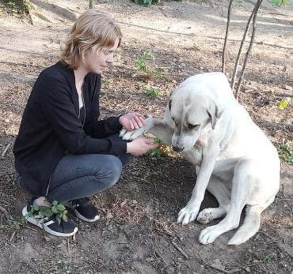 Ausgeglichene, kinderliebe Pina sucht