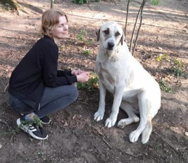 Ausgeglichene, kinderliebe Pina sucht